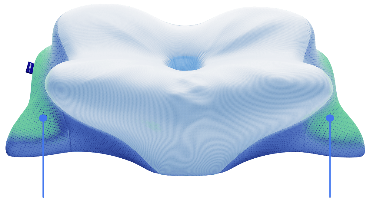 animation 6